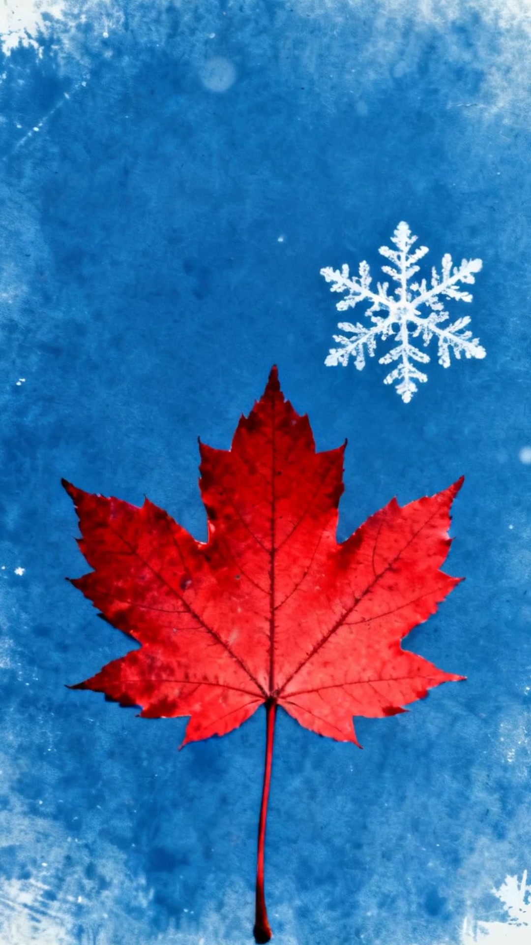 My Only Season cover art